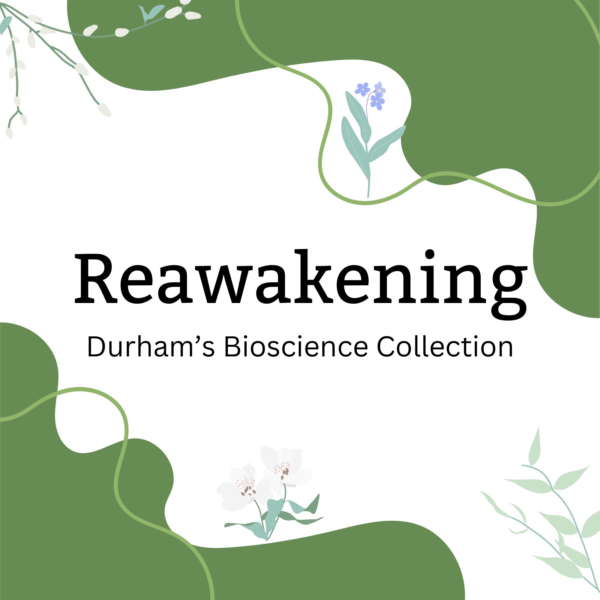 Reawakening Bioscience
